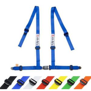 LTEC Seatbelts Budget 4 Points